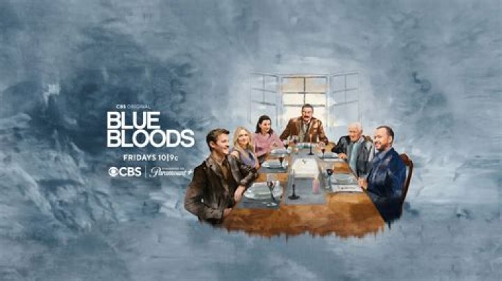 Blue Bloods Season 3 Episode 10 “Fathers and Sons” Recap 01/04/13