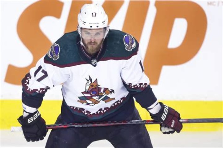 Fame | Alex Galchenyuk net worth and salary income estimation Jan, 2024